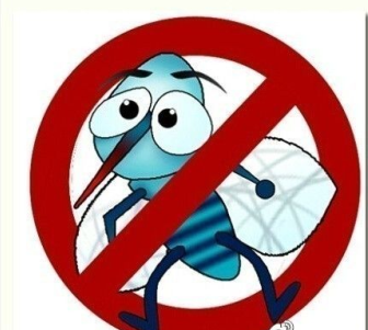 青岛今起秋季集中灭蚊，有意见可拨打12319