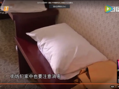 女子入住深圳一酒店 半夜醒来床上惊现十几只臭虫